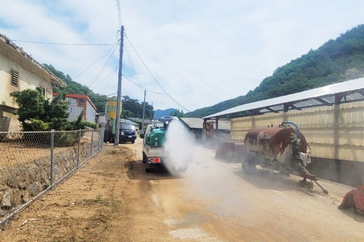 아프리카돼지열병(ASF) 확산방지를 위해 방역 총력전을 펼치는 청송군.