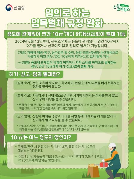“年 10㎥ 이내 허가 없이 벌채 가능” 산림청, 임의벌채 규정 완화