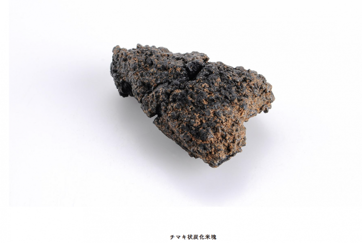 이시카와현에서 출토된 야요이 시대 주먹밥 화석.(사진출처=이시카와디지털뮤지엄 홈페이지)