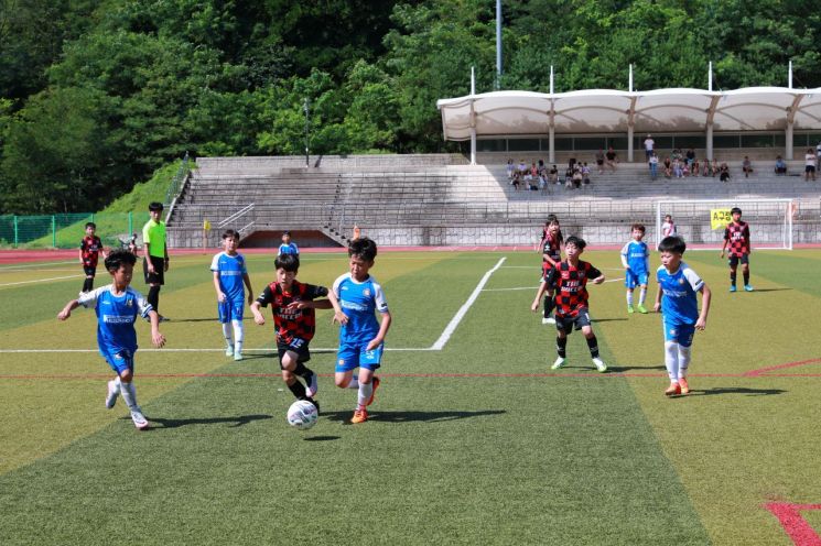 2024 울진금강송배 전국 유소년클럽 축구대회를 개최하는 울진군.