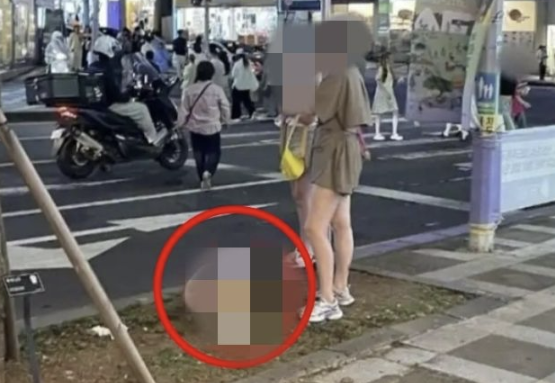 中관광객, 경찰 앞에서 무단횡단…단속하자 "이게 왜 불법이냐"