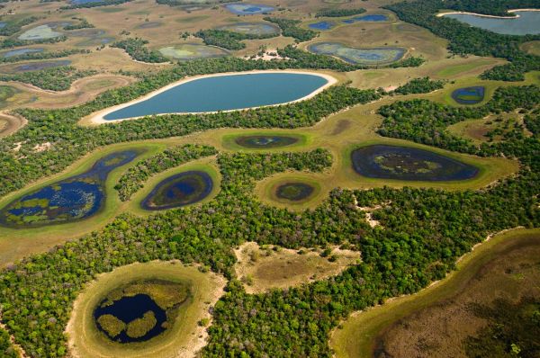 브라질 중서부, 파라과이강 상류지역의 늪 지대 '판타나우' 전경. [사진출처= 판타나우SOS]