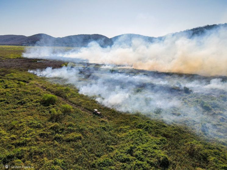 브라질 판타나우 습지에 화재가 발생해 연기가 피어오르고 있다. [사진출처= 판타나우SOS]