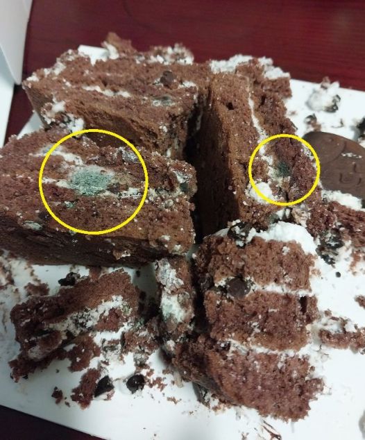 제과 전문점에서 구매한 케이크 시트 안에 곰팡이가 피어있는 모습. [사진=온라인 커뮤니티 갈무리]