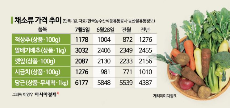 [Why&Next]장마철마다 들썩이는 농산물 가격