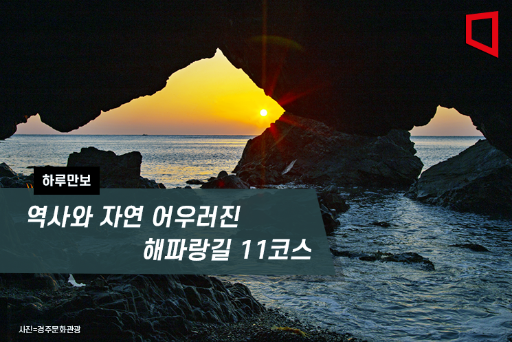 [하루만보]역사와 자연 어우러진 해파랑길 11코스