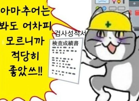 일본 직업 고양이 밈을 번역한 국내 게시글. [이미지출처=온라인 커뮤니티 갈무리]