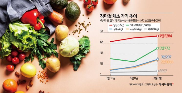 장마철 상춧값 3배 껑충…'베지플레이션' 우려 확산