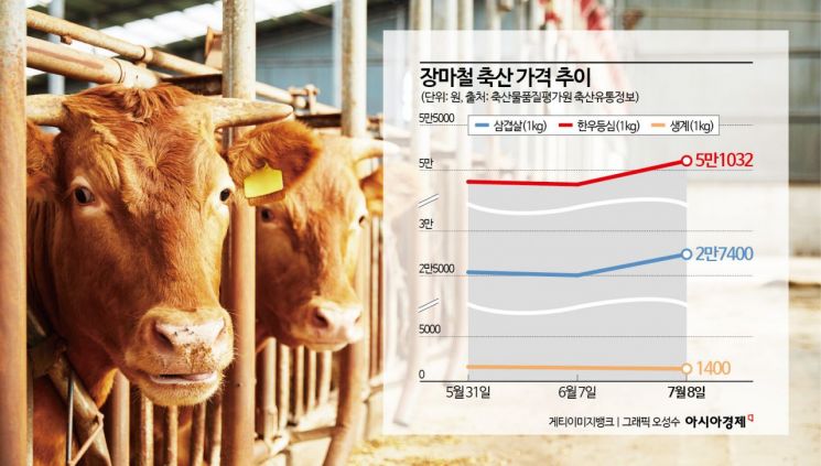 장마철 상춧값 3배 껑충…'베지플레이션' 우려 확산