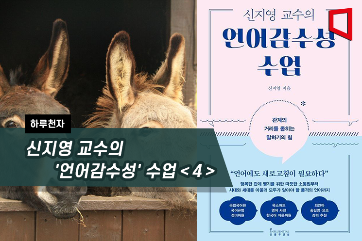 [하루천자]신지영 교수의 '언어감수성' 수업＜4＞