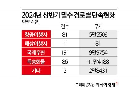 단속에도 꾸준한 '마약밀수'…자가소비 소량 밀수 증가