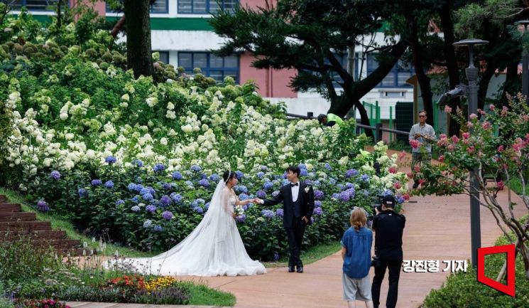 17일 서울 노원구 초안산수국동산에서 웨딩촬영 이벤트에 참여한 결혼을 앞둔 예비 신혼부부가 사진촬영 하고 있다. 지난 4월 말 개장한 초안산 수국동산은 한때 쓰레기 적치, 불법 경작 등으로 주민들이 이용하기 어려운 곳이었다. 주민들에게 휴식 공간을 제공하고, 지역 내 녹색복지 불균형을 해소하겠다는 목표로 1년 간의 공사 끝에 힐링 명소로 단장을 마쳤다. 사진=강진형 기자