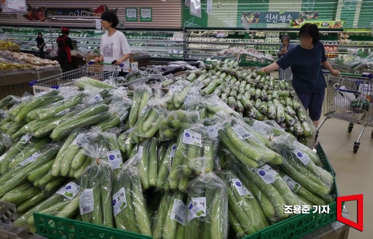 [포토] 폭등한 오이값, 밥상 물가 비상