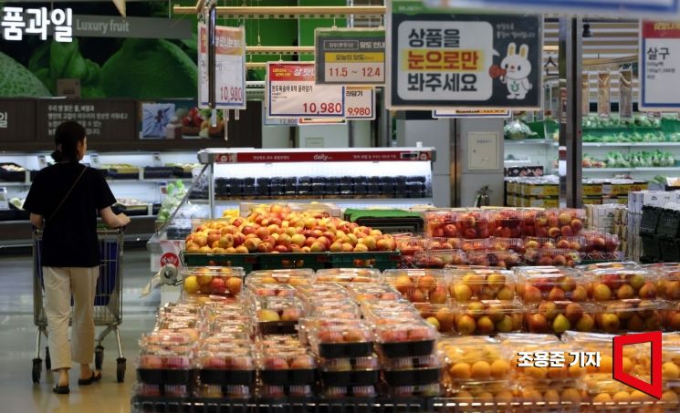 [포토] 긴장마에 과일값 폭등