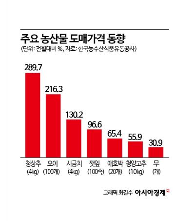 밥상물가 비상등…한달새 상추 290%·시금치 130%↑