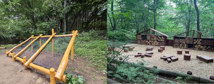 瑞草区在雨岷山打造的无障碍森林樱花游乐场“网状吊床”和幼儿森林体验园“昆虫观察园”。瑞草区提供。