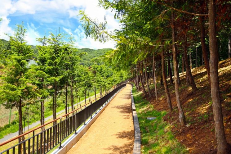 ‘밤에도 안전한 황톳길’…구로구, 연지근린공원 황톳길 야간조명 설치