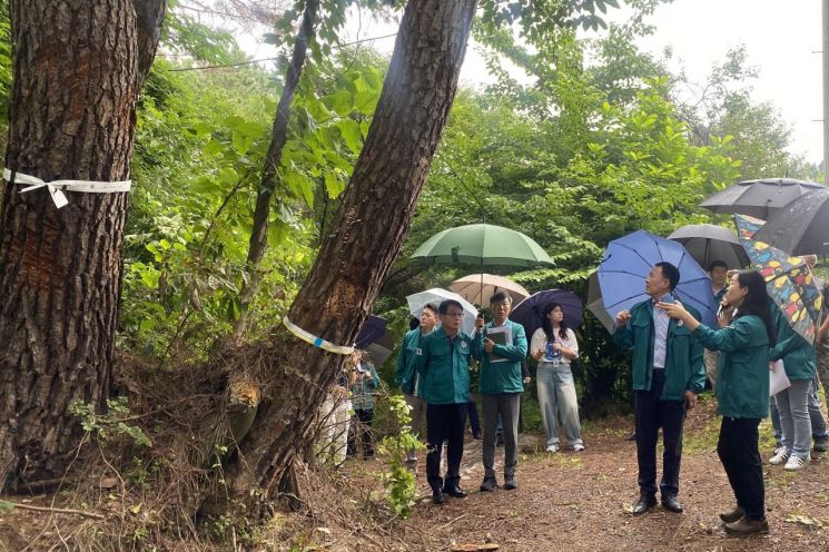 “대전서 재선충병 신규 발생” 산림청, 대전시·환경부 등과 긴급 대책회의