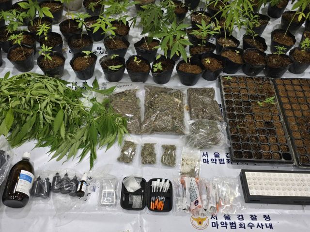 다크웹으로 마약류 불법 유통…2600만원 취득한 일당 검거