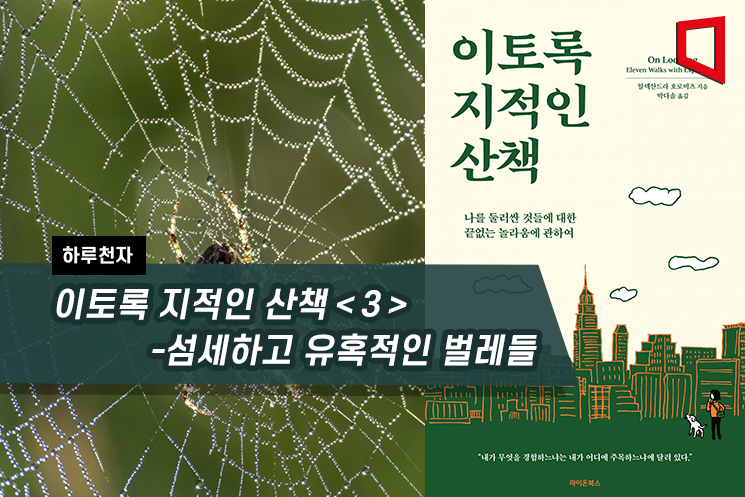 [하루천자]이토록 지적인 산책＜3＞-섬세하고 유혹적인 벌레들