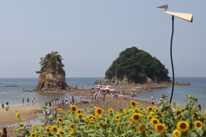 안면도 국제꽃박람회가 열렸던 태안 꽃지해수욕장 모습. / 충남도