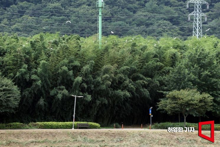 “나만의 정원 볼래요?”… 울산 태화강국가정원 가을축제, 정원체험 참가자 모집