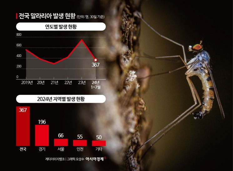 덥고 습한 날씨에 서울서도 '말라리아' 기승…"휴가철 특히 조심" 