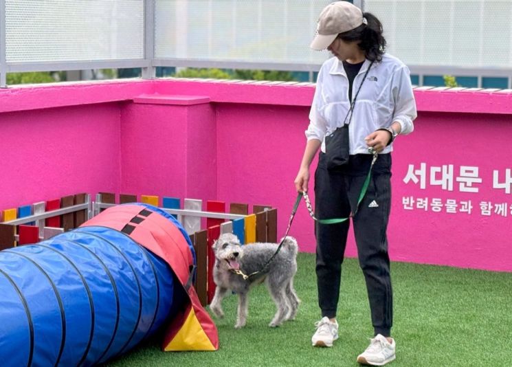 ‘서대문 내품애(愛)센터’ 옥상 놀이터에서 반려견이 뛰어 놀고 있다. 서대문구 제공.