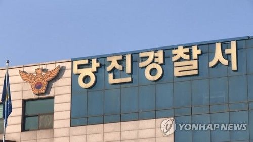 설날 땔감 구하려…벌목 중 나무에 부딪힌 80대 사망