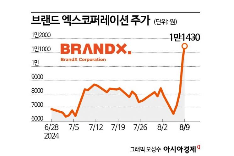 브랜드엑스코퍼레이션 '깜짝 실적'으로 시총 3000억 돌파