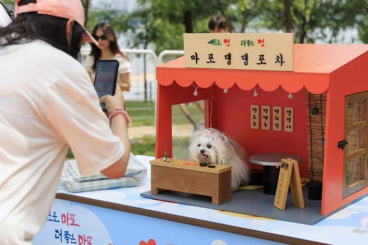 마포구 '반려동물 캠핑장 홍보단' 모집