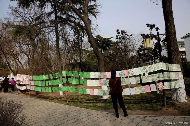 "우리 아들 번듯한 회사 다녀요" 토요일마다 공원서 자녀 짝 찾는 부모들[中돋보기]