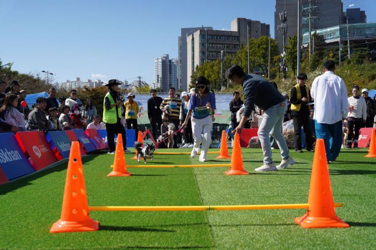 반려동물 축제