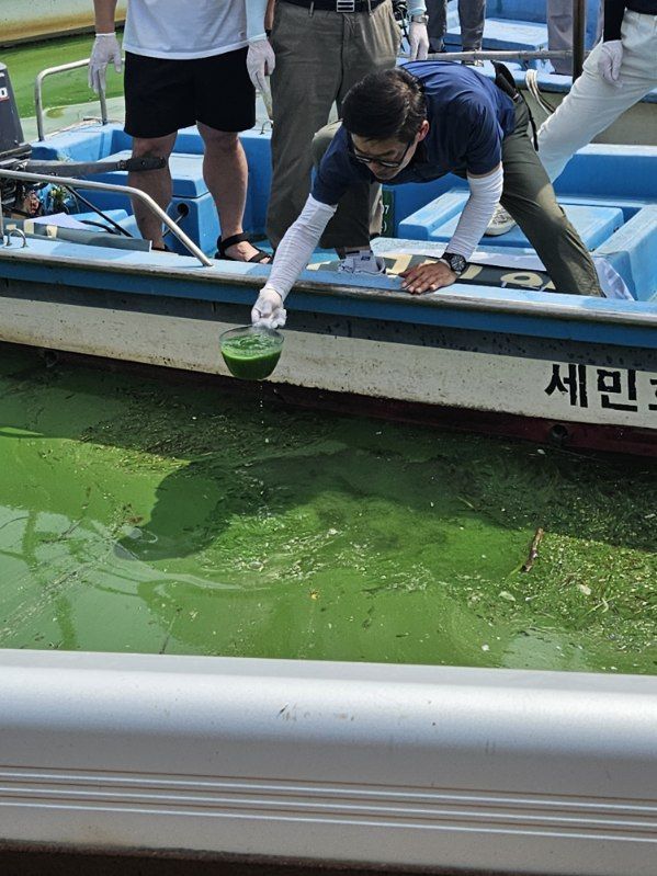 19일 경남 김해시 대동면 대동선착장에서 환경단체 관계자가 녹조 현상이 발생한 바닷물을 채취하고 있다. 사진=환경운동연합