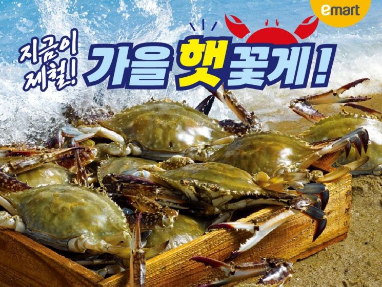 "가을 햇꽃게가 돌아왔다"…이마트, 최대 반값 할인판매