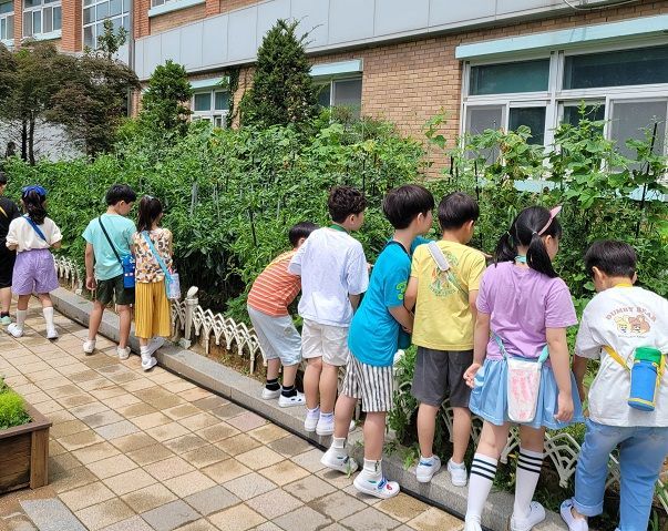 금천구 어린이 농부들의 ‘우리 학교 텃밭 가꾸기’