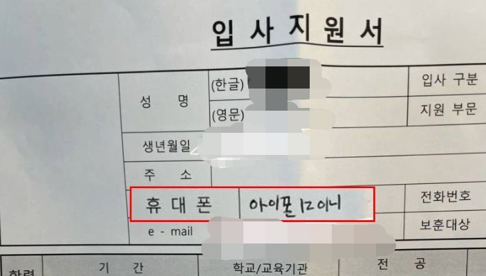 입사지원서 '휴대폰'난에 번호 대신 '아이폰12미니'…문해력 논란