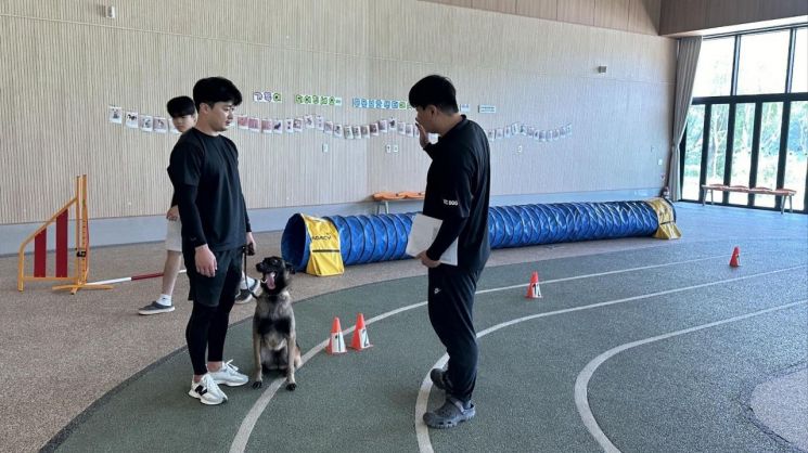 대전시 맹견 사육허가제 관련 기질평가 모의 시연회