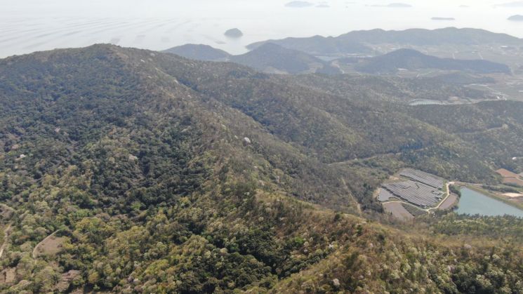 The Forest Genetic Resources Protection Area was designated centered on the subtropical plant community at the summit of Yeogui Mountain. The subtropical plants are distinguished from the surrounding trees by their dense foliage. At the foot of the mountain, the living area of forest village residents is established, and beyond the mountain lie the sea in front of Jindo and the island region.  <br>Photo by Korea Forest Service Yeongam National Forest Management Office