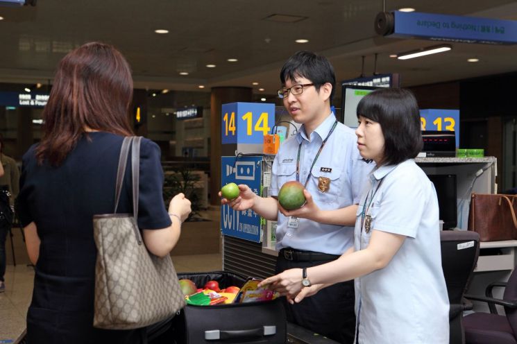 인천국제공항 입국장에서 농림축산검역본부 직원들이 휴대품 검역을 하고 있다.       사진제공=농림축산검역본부