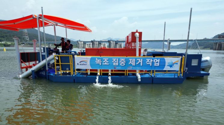 [뉴스속 용어]폭염에 녹조 확산...‘조류경보’ 발령