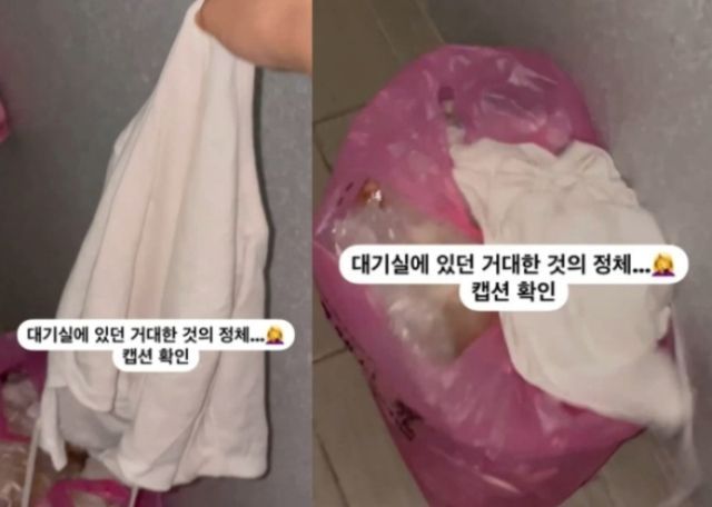 아이돌 대기실서 진동한 썩은 내…소파 뒤 '흰 덩어리'에 기겁