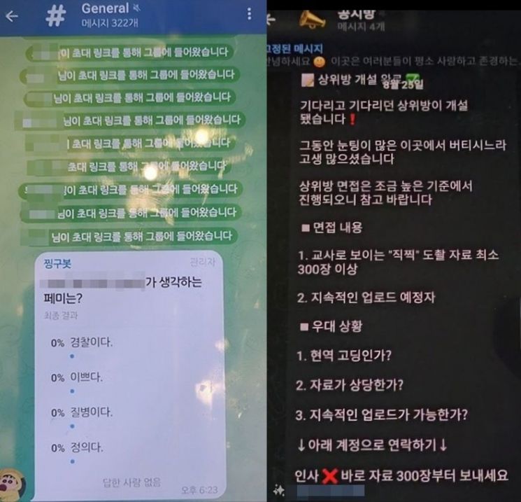 [딥페이크와의 전쟁]삭제 반복하고 퀴즈 출제까지…딥페이크 범죄, 단속 피해 기승