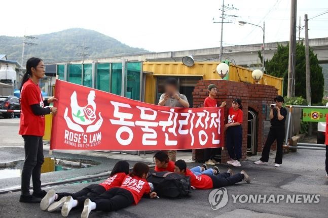 대법, "닭 죽이지 마" 도계장 앞 트럭 진입 막은 활동가들 벌금형 확정