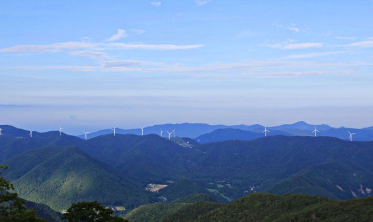 발왕산 천년주목숲길에서 바라보는 산세