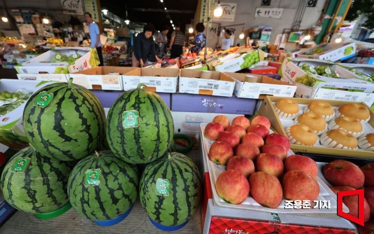 [포토] 한산한 도매시장, 추석물가 비상