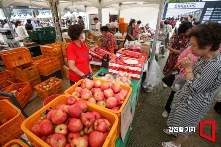[포토] '2024년 추석 사과 가격은?'