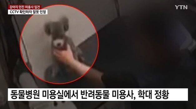 반갑다 꼬리 흔드는 강아지 '휙' 던졌다…다리 부러뜨린 미용사