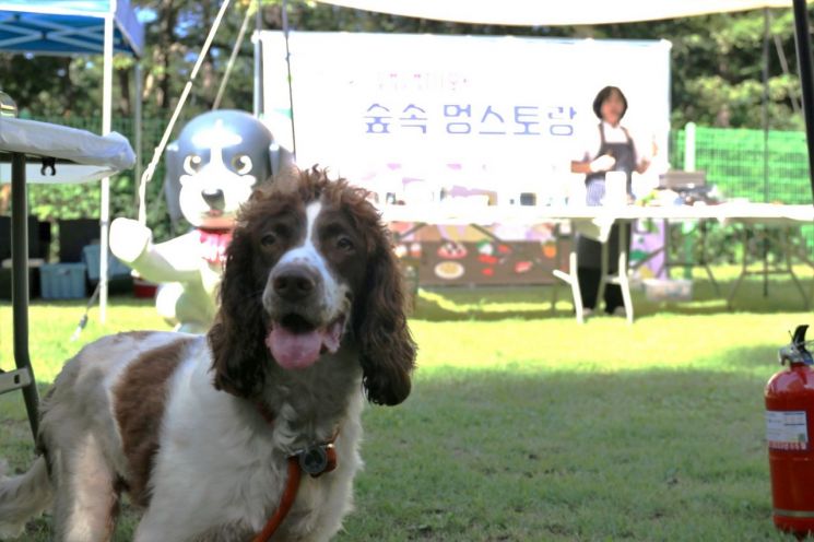 휴양림관리소는 3일 국립산음자연휴양림에서 '숲속 멍스토랑'을 열어 은퇴 마약탐지견과 입양 가족이 숲에서 힐링하는 시간을 가질 수 있도록 했다. 국립자연휴양림관리소 제공