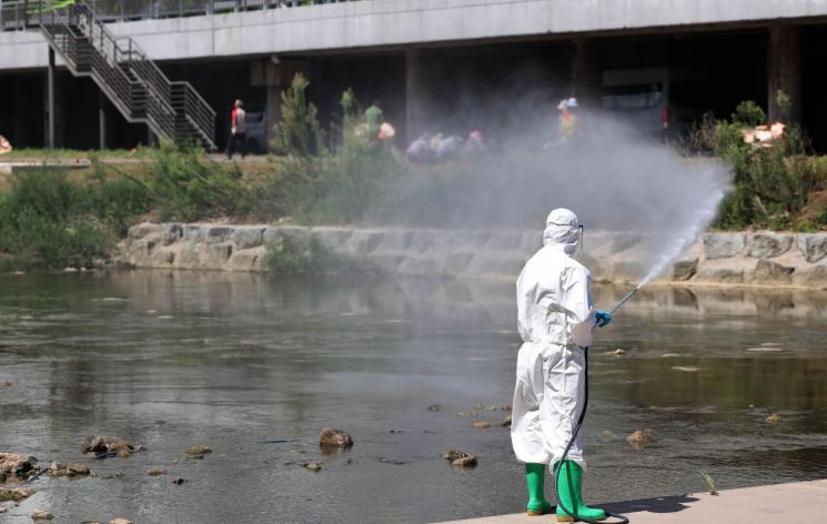 지난달 29일 광주 북구보건소 감염병관리팀 방역방원들이 북구 임동 서방천 일원에서 감염병 방지를 위해 방역 작업을 하고 있다.[사진출처=연합뉴스]